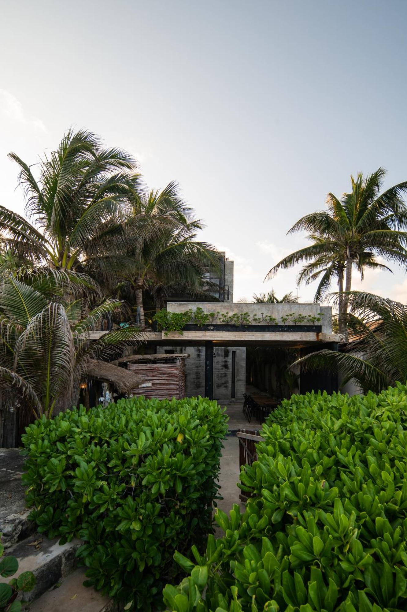 Tropicalito Villa On The Beach تولوم المظهر الخارجي الصورة